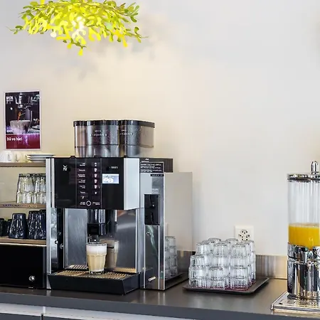 尚恩霍夫背包客别墅酒店 - 因特拉肯旅馆